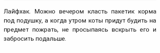 Лайфхак Можно вечером класть пакетик корма под подушку а когда утром коты придут будить на предмет пожрать не просыпаясь вскрыть его и забросить подальше