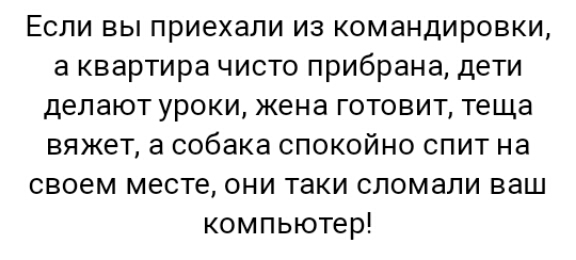 Если вы приехали из командировки а квартира чисто прибрана дети делают уроки жена готовит теща вяжет а собака спокойно спит на своем месте они таки сломали ваш компьютер