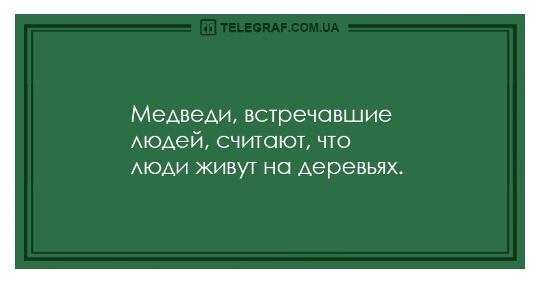 Медведи встречавшие АЮАеЙ считают что АЮАИ ЖИВУТ НС деревьях
