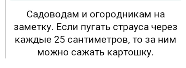 Садоводам и огородникам на заметку Если пугать страуса через Каждые 25 сантиметров ТО за НИМ можно сажать картошку
