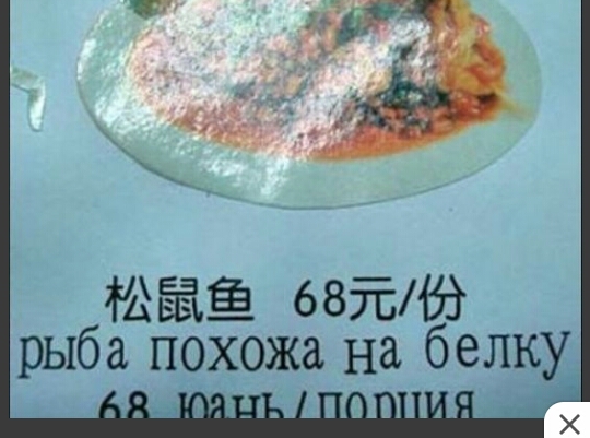 РАЕЁЬЁ ватт63 рыба похожа на белку