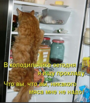 сегодня РЩ приди ни