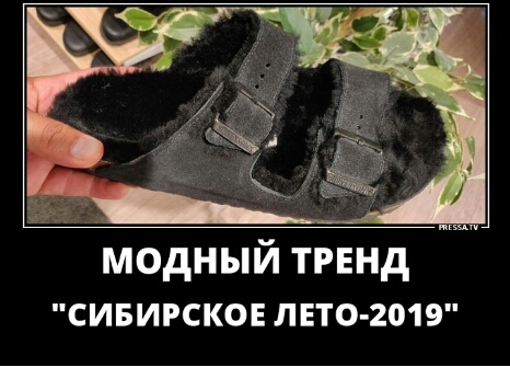 СИБИРСКОЕ ЛЕТО 2019