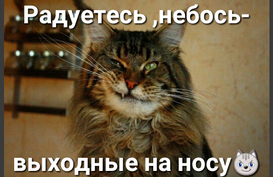 Радуетесь небось х выходные на носу
