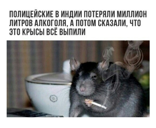 ППЛИЦЕЙВКИЕ В ИНЛИИ П0ТЕРЯЛИ МИПЛИПН ЛИТРОВ АПКПГЦПЯ А потом ПКАЗАПИ ЧТО ЭТП КРЫСЫ ВСЕ ВЫПИЛИ