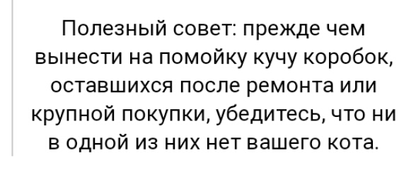 Полезный совет прежде чем вынести на помойку кучу коробок оставшихся после ремонта или крупной покупки убедитесь что ни в одной из них нет вашего кота