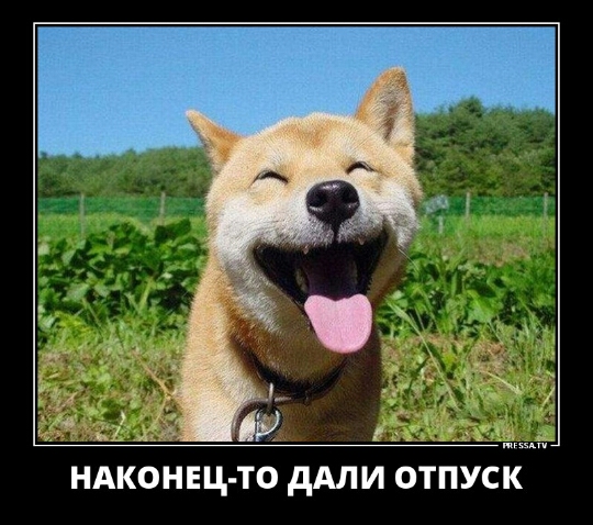 НАКОНЕЦ ТО дАЛИ ОТПУСК