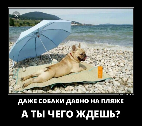 __ц 7 __ __ дАЖЕ СОБАКИ дАВНО НА ПЛЯЖЕ А ТЫ ЧЕГО ЖДЕШЪ