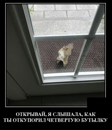 ОТКРЫВАЙ Я СЛЫШАЛА КАК ТЫ ОТКУПОРИЛ ЧЕТВЕРТУЮ БУТЫЛКУ