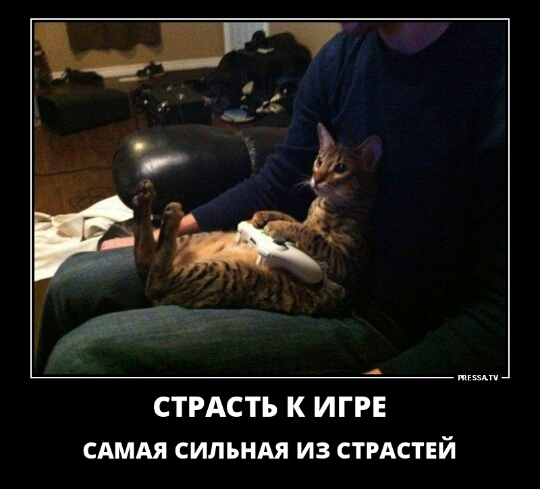 СТРАСТЪ К ИГРЕ САМАЯ СИЛЪНАЯ ИЗ СТРАСТЕЙ