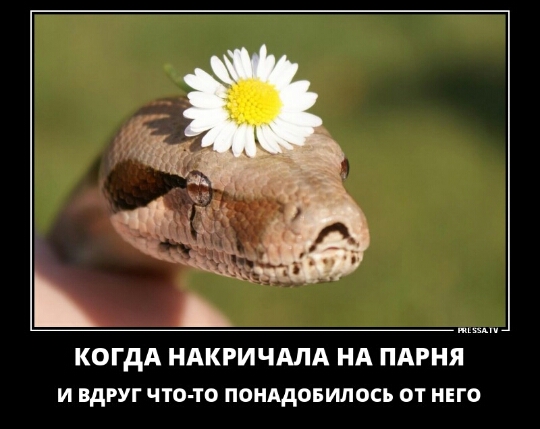 КОГДА НАКРИЧАЛА НА ПАРНЯ И ВдРУГ ЧТО ТО ПОНАДОБИЛОСЬ ОТ НЕГО