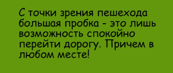 С точки зрения пешехода большая пробка это лишь возможность спокойно перейти дорогу Причем в любом месте