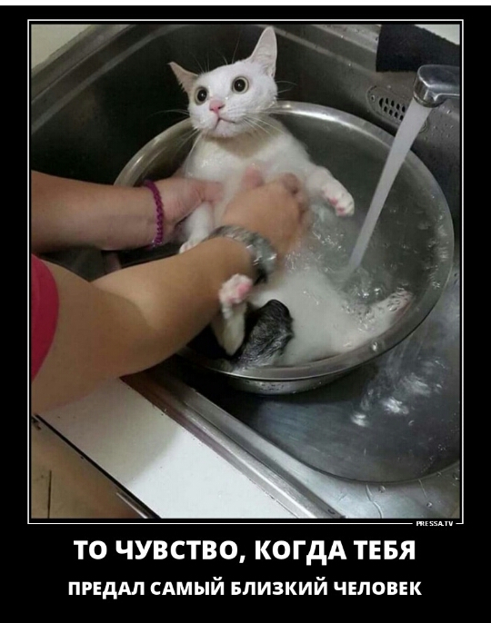 ТО ЧУВСТВО КОГДА ТЕБЯ ПРЕдМ сдмый БПИЗКИЙ человек