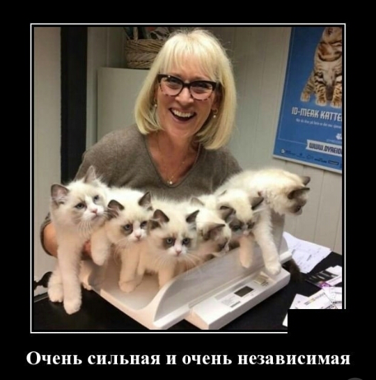 ОЧЕНЬ сильная и очень независимая