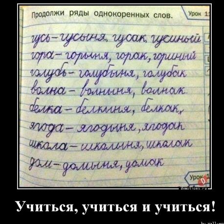 придаджи ряды одноиорениых апов ТМС МЯЧ Ош 96111002 Лиуги даин чихуау Ы симша уММд Учиться учиться и учиться