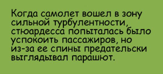 Когда с9молет вошел в зону сильнои турбулентности стюардесса попыталась было успокоить пассажиров но из за ее спины предательски выглядывал парашют