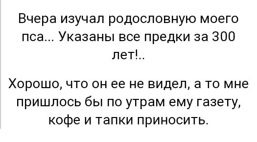 Вчера изучал родословную моего пса Указаны все предки за 300 лет Хорошо что он ее не видел а то мне пришлось бы по утрам ему газету кофе и тапки приносить