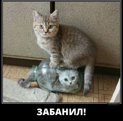 ЗАБАН ИЛ