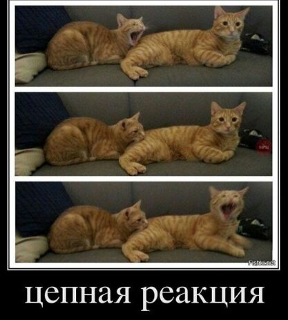 цепная реакция
