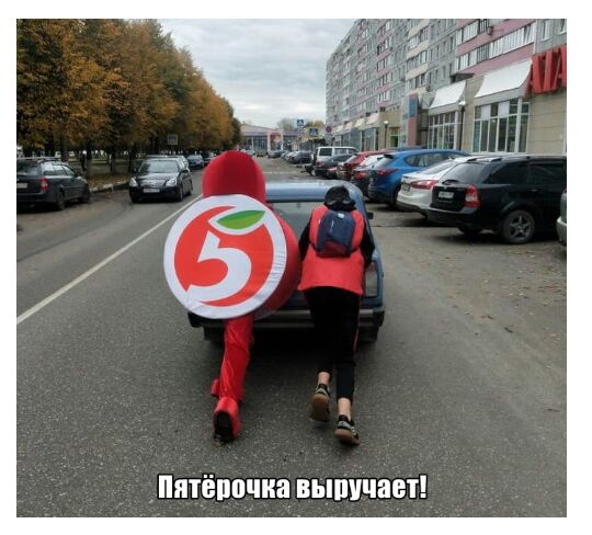 в а ц Ш в а к и о п 8 я П