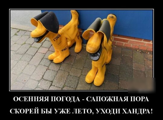 ОСЕННЯЯ ПОГОДА САПОЯСНАЯ ПОРА СКОРЕЙ БЫ УЖЕ ЛЕТО УХОДП ХАНДРА