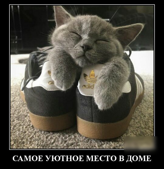 САМОЕ УЮТНОЕ МЕСТО В ДОМЕ