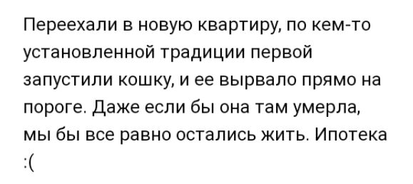Переехали в новую квартиру по кем то установленной традиции первой запустили кошку и ее вырвало прямо на пороге Даже если бы она там умерла мы бы все равно остались жить Ипотека