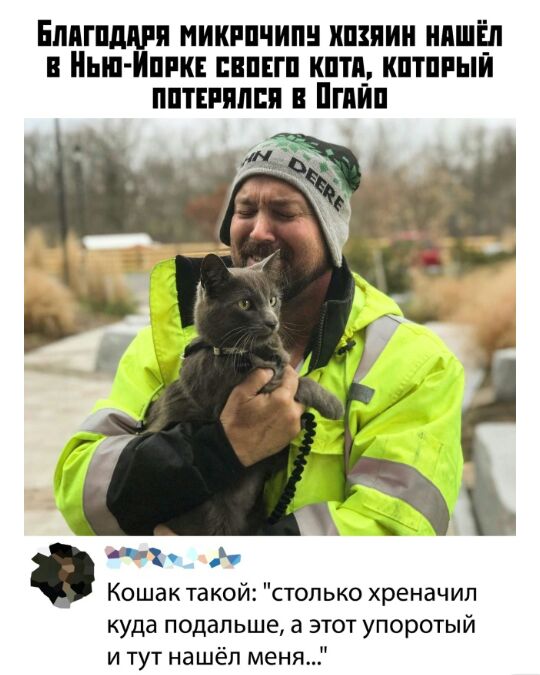 ЕПППЩМЯ ИИКРПЧИП ИШИМ ПШЁП В БШ ППК ЕВПЕГП КПТП_ КПТШЫЙ ППТЕРППШ В ППШП Кошак такой столько хреначил куда подальше этот упоротый и тут нашёл меня