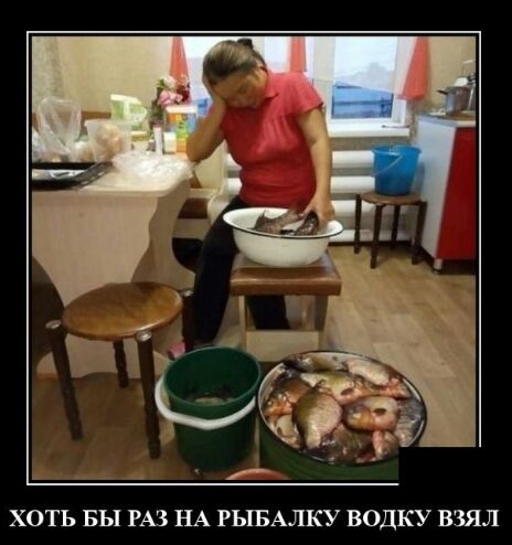 ХОТЬ БЫ РАЗ НА РЫБАЛКУ ВОДКУ ВЗЯЛ