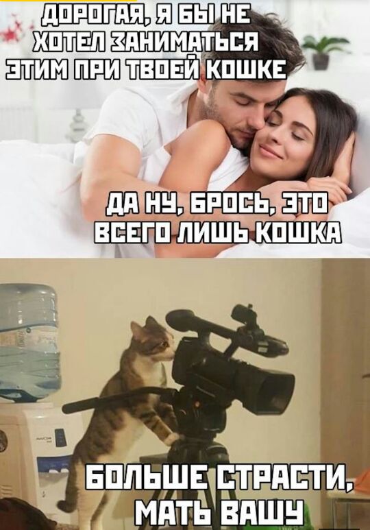 дПРПГдЯ Ш БЫ НЕ ХШТЕЛ ЗАНИМВЬЕП Т_ ЭТИМ ШШ ТВПЕИ КПШКЕ гпшэь