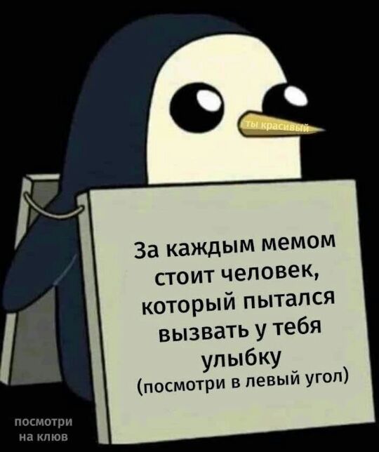 і За каждым мемом стоит человек который пытался вызвать у тебя улыбку посмотри в левый угоп посмотри на клюв