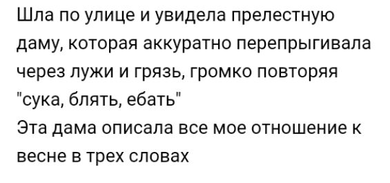 Шла по улице и увидела прелестную даму которая аккуратно перепрыгивала через лужи и грязь громко повторяя сука блять ебать Эта дама описала все мое отношение к весне в трех словах