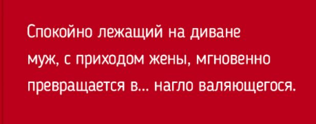 Спокойно лежащий на диване муж с приходом жены мгновенно превращается в нагло валяющегося