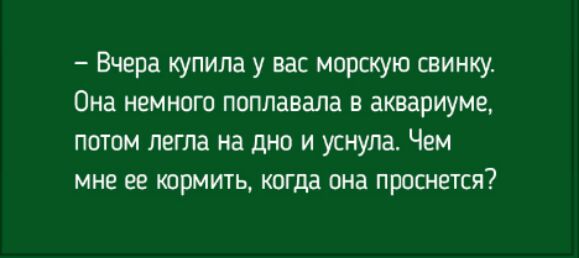 Вчера купила у вас морскую свинку Она немного поплавала в аквариуме потом легла на дно и уснула Чем мне ее кормить когда она проснется