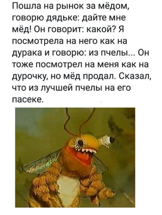 Пошла на рынок за мёдом говорю дядьке дайте мне мёд Он говорит какой Я посмотрела на него как на дурака и говорю из пчелы Он тоже посмотрел на меня как на дурочку но мёд продал Сказал что из лучшей пчелы на его пасеке