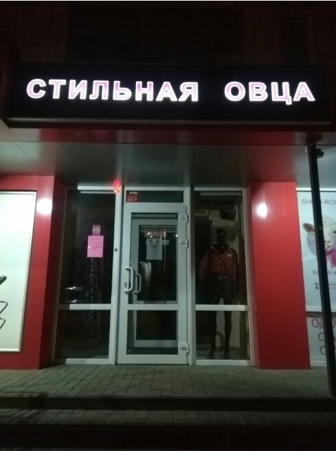 СТИЛЬНАЯ ОВЦА