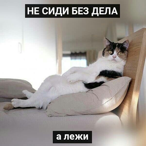 НЕ СИдИ БЕЗ ДЕЛА