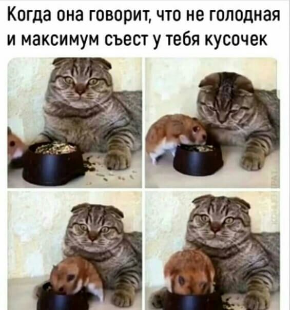Когда она говорит что не голодная и максимум съест у тебя кусочек