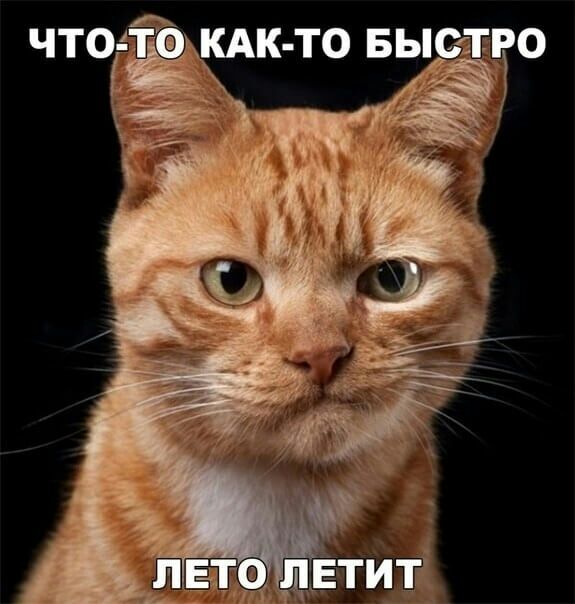 ЁКАк то Быстро