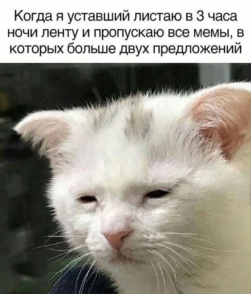 Когда я уставший листаю в 3 часа ночи ленту и пропускаю все мемы в которых больше двух предложений