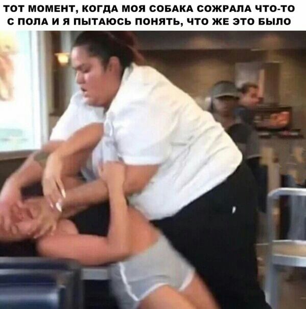 ТОТ МОМЕНТ КОГДА МОЯ СОБАКА СОЖРАЛА ЧТО ПОПА И я ПЫТАЮОЬ ПОНЯТЬ ЧТО ЖЕ это БЫЛО