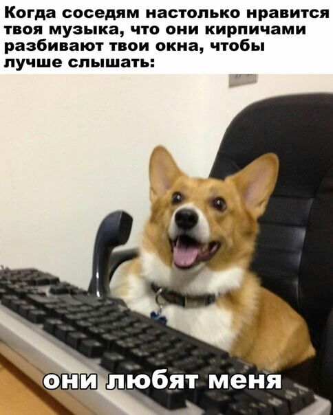Когда СОСЕДЯМ настолько нравится ТВОЯ музыка ЧТО они кирпичами разбивают твои окна чтобы ЛУЧШЕ слышать пюбят меня