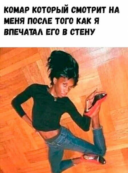 КОМАР КОТОРЫЙ СМОТРИТ НА МЕНЯ ПОСЛЕ ТОГО КАК Я ВПЕЧАТАА ЕГО В СТЕНУ