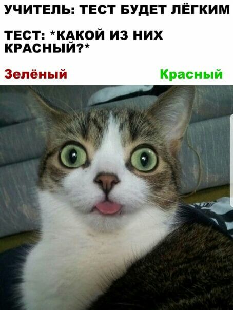 УЧИТЕЛЬ ТЕСТ БУДЕТ ПЁГКИМ ТЕСТ КёКОЙ ИЗ НИХ КРАСНЫИ Зелёный Красный