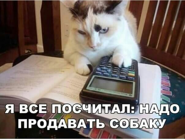 Я ВСЕ ПФСЧИТАП ЦН ПРОДАВАТЬ СОБАКУ