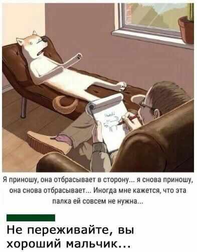 я приидшу она отбрасывает сторону и снова приношу она снпвз птбрасывает Иипгда кажети палка ей совсем в нужна _ Не переживайте вы хороший мальчик