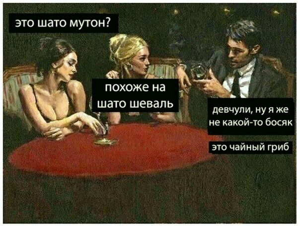 это шато мутон шато шевапь девчупи ну я же не какои то бссяк это чайный гриб