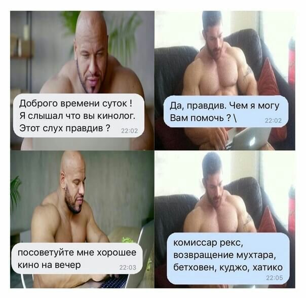 Доброго времени суток Я слышал ЧТО БЫ КИНОПОГ Этот слух правдив _ посоветуйте мне хорошее кино на вечер да правдив Чем я могу Вам помочь 22 комиссар рекс возвращение мухтара бетхоаен куджо хатико 1205 ц