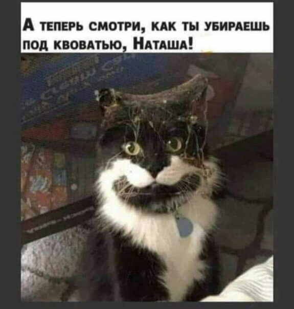 А твпврь смотри кпк ты узнаешь под квонАтью АТАША