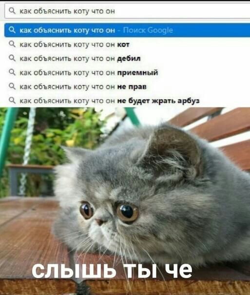 а объяснить _ що х объяснит кшу что он а пбъясншь кглу а объдсиитъ коту что он о 1 ооьяснить чю он приемный как объяснить когу что он не при ц пбъясиить у на в не Будн жрдь прбуя СЛЫШЬ ТЫ че